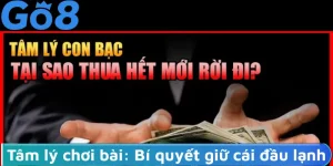 Tâm lý chơi bài: Bí quyết giữ cái đầu lạnh để chiến thắng